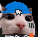 cool burgur blinker cat